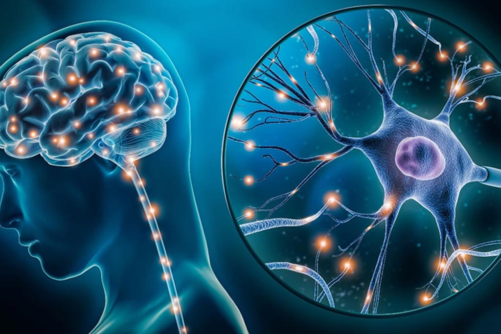 Brain Angiography and Endovascular Surgery